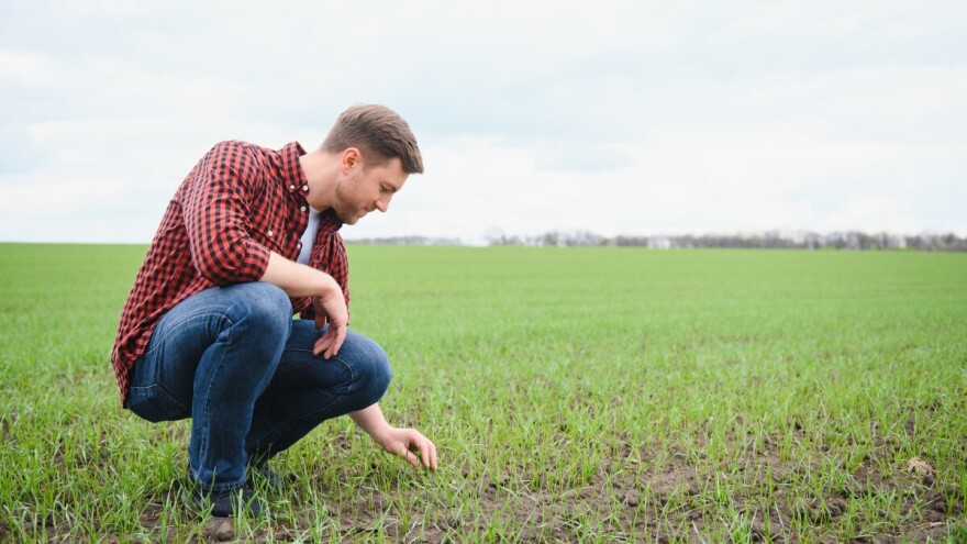 Nema zime dok Božić ne mine: Evo progoze do kraja godine