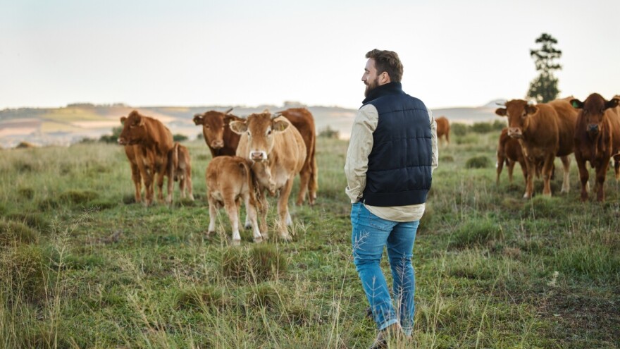 APPRRR isplatila 6,5 milijuna eura za obnovu mesnog sektora