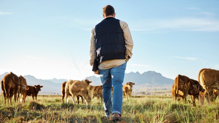 Prilika za mlade na selu: Prijavite se za bespovratna sredstva