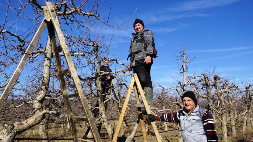 Zimska škola rezidbe i ove godine: Besplatna edukacija za vinogradare i voćare