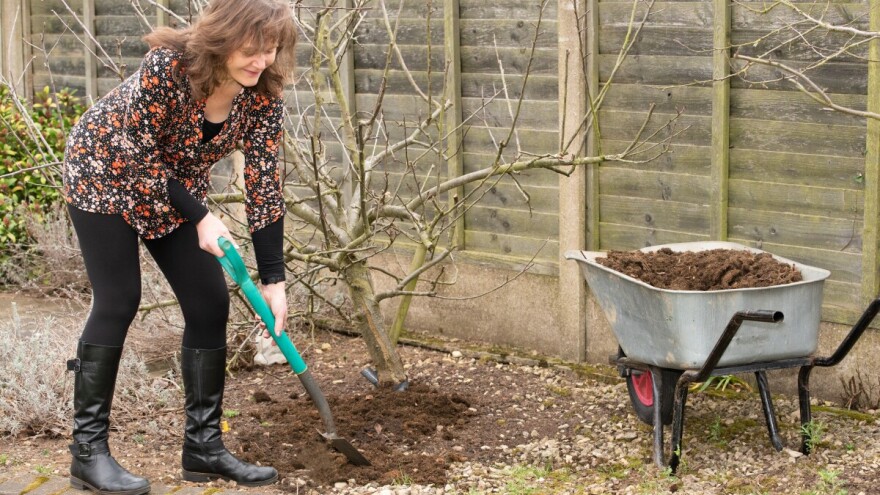 Evo što se radi u vrtu, voćnjaku i cvjetnjaku u februaru