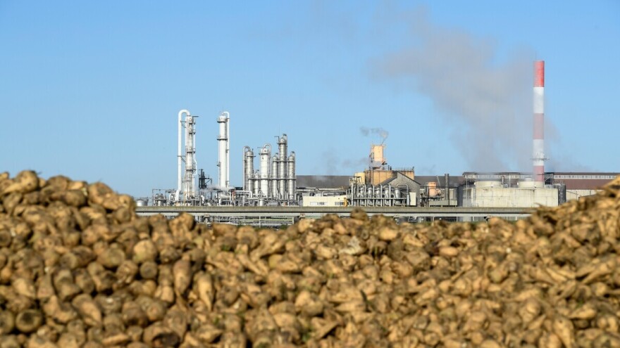 Slobodni pad cijena šećera: Zatvaraju se šećerane, sektor strahuje od kolapsa