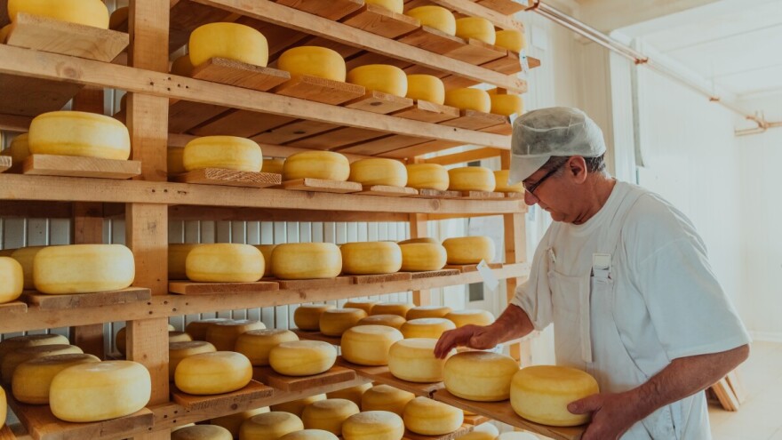 Broj krava i dalje pada: EU će proizvesti manje svježeg mlijeka i maslaca, a više sira