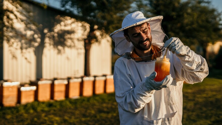 Bira se najbolji med u 2024. godini - pošaljite uzorke