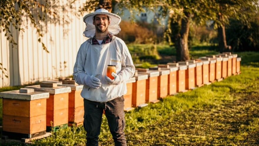 Traži se najbolji med u FBiH: Prijave do 17. oktobra