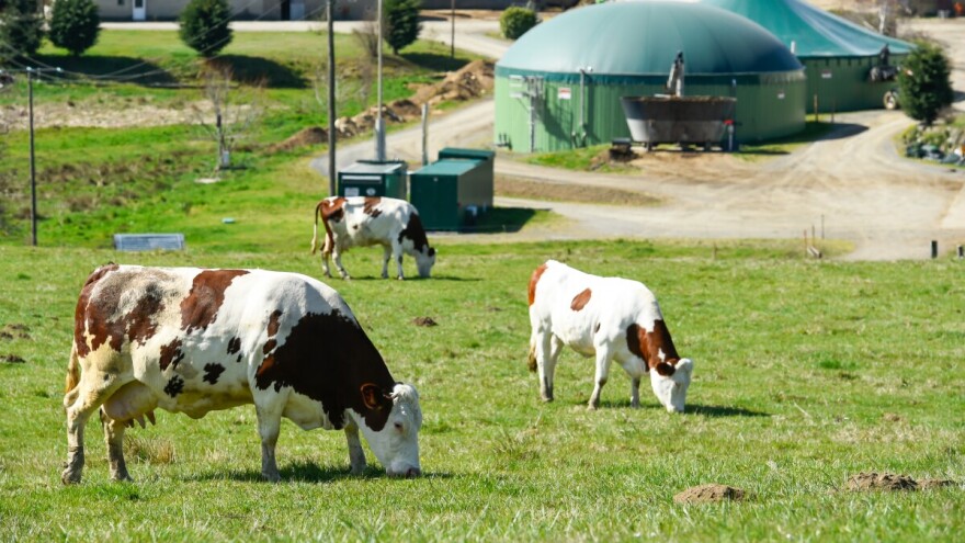 Neiskorišteni potencijali poljoprivrede – energija i tehnologija