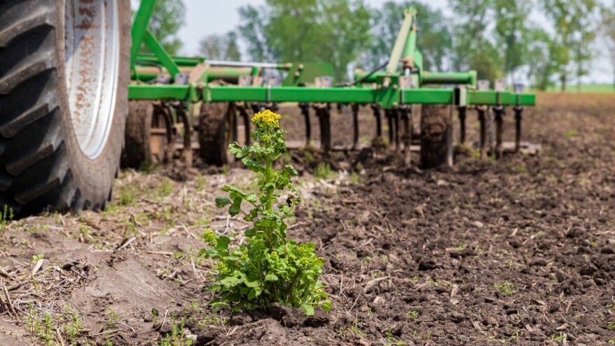 Evo što donosi nacrt prijedloga Pravilnika o integriranoj zaštiti bilja