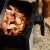Air fryer: Da li je friteza na vruć vazduh štetni alat u kuhinji ili zdrav pomoćnik?
