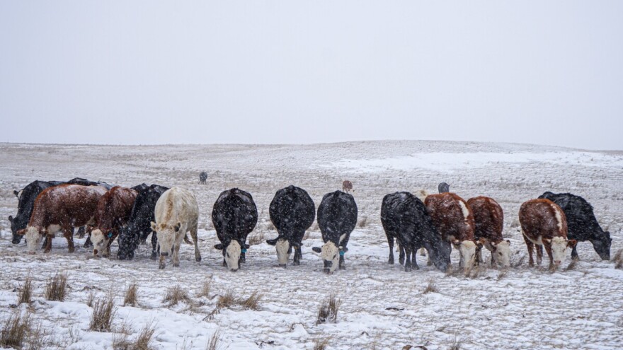 Meteoalarm: Nekoliko regija na udaru olujnog vjetra i jačih padavina