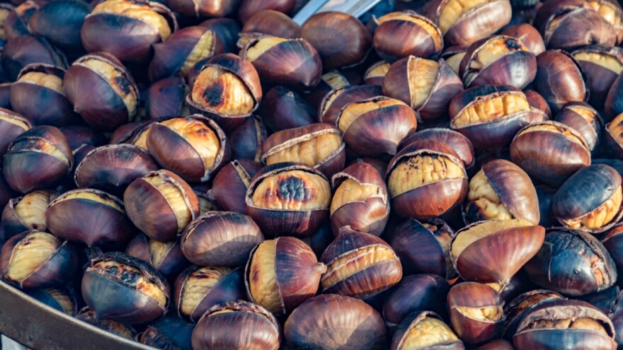 Pola stoljeća Marunade: slavlje kestena i briga za šume koje nestaju
