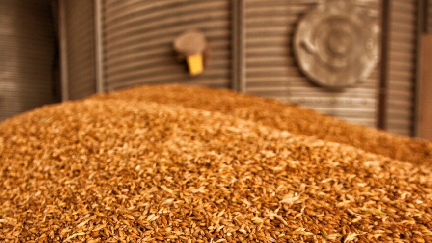 Zatišje na tržištu soje i ječma, pšenica najtraženija roba na Produktnoj berzi. A cene?