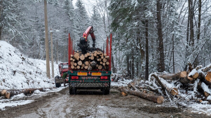 Krao šumu pa imao saobraćajku: Policija oduzela i trupce i vozilo
