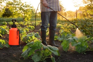 Otrovna polja: Zašto sve više američkih farmera oboleva od Parkinsonove bolesti?