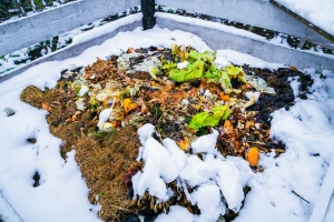 Kako održati kompost aktivnim na niskim temperaturama