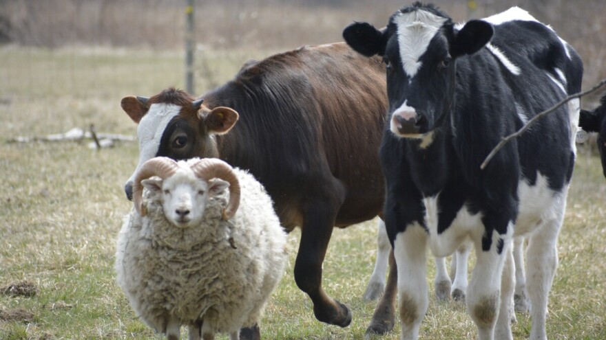 Objavljen je četvrti natječaj za provedbu intervencije 70.05.