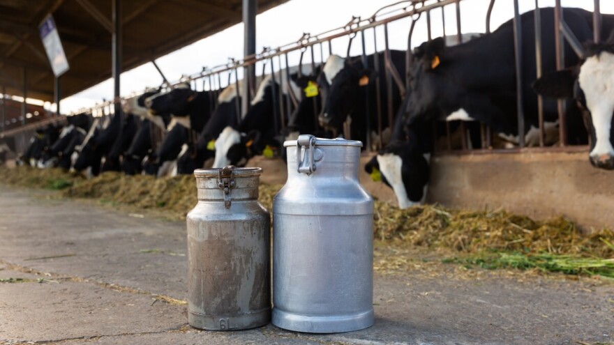 TISUP: Otkupne cijene mlijeka u Hrvatskoj bilježe blagi rast