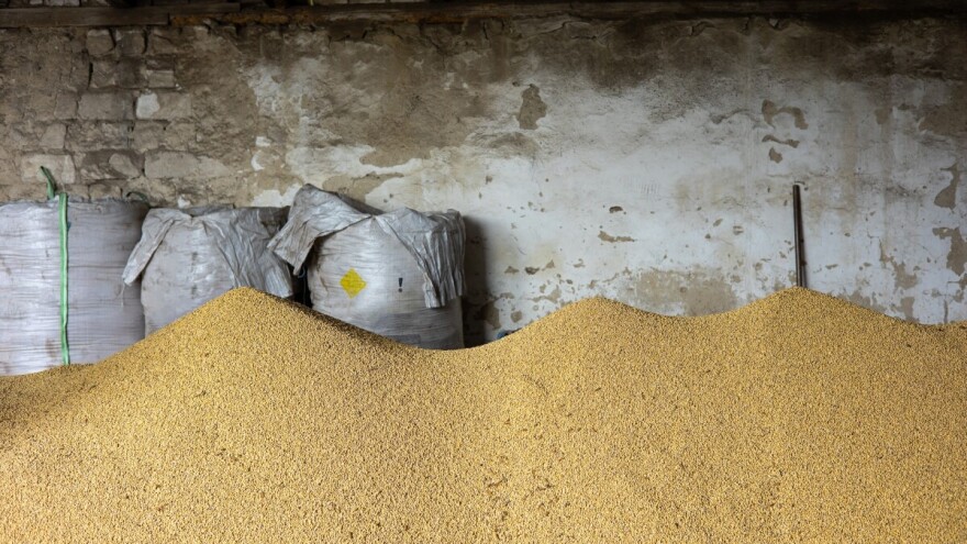 Zbog sumnje u povišen nivo mikotoksina u sirovini, s tržišta BiH povlače sojine proizvode