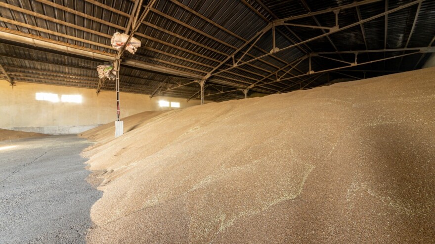 Nervoza i na domaćem tržištu žitarica i uljarica zbog Trampovih carina