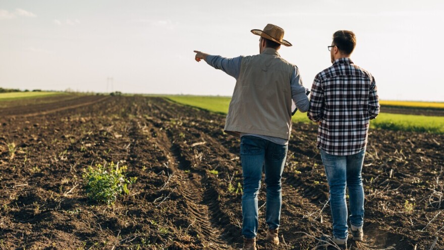 Regenerativna poljoprivreda: Precenjena rešenja za klimatske promene?