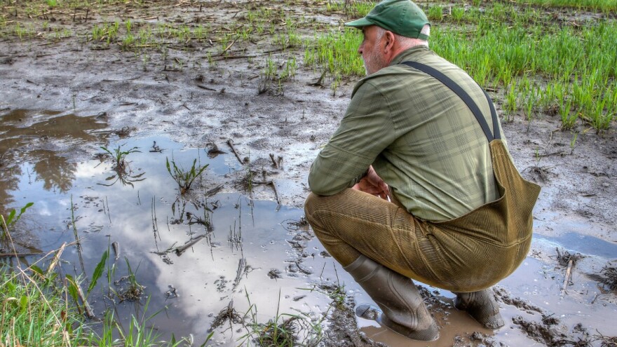 Čvrsta leđa bh. poljoprivrednika u 2025.: Čučnuli jesu, poklekli nisu!