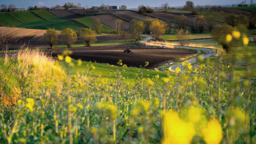 Zašto je poljoprivredno zemljište u Hrvatskoj najjeftinije u cijeloj EU?