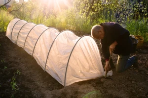 Nakon mraza, novi talas hladnoće: Kako pomoći gajenom bilju?