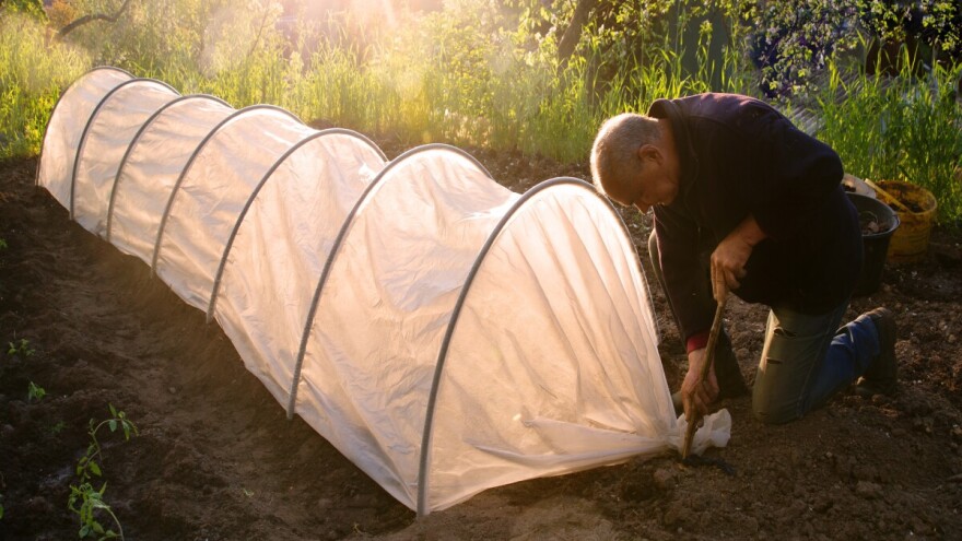 Nakon mraza, novi talas hladnoće: Kako pomoći gajenom bilju?