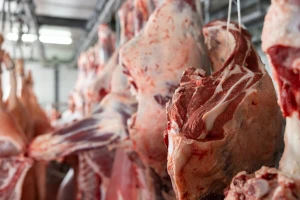 Naloženo uništenje 698 kilograma goveđeg mesa u klanici u Aleksandrovcu