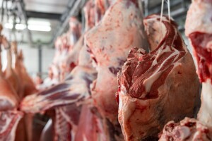 Naloženo uništenje 698 kilograma goveđeg mesa u klanici u Aleksandrovcu