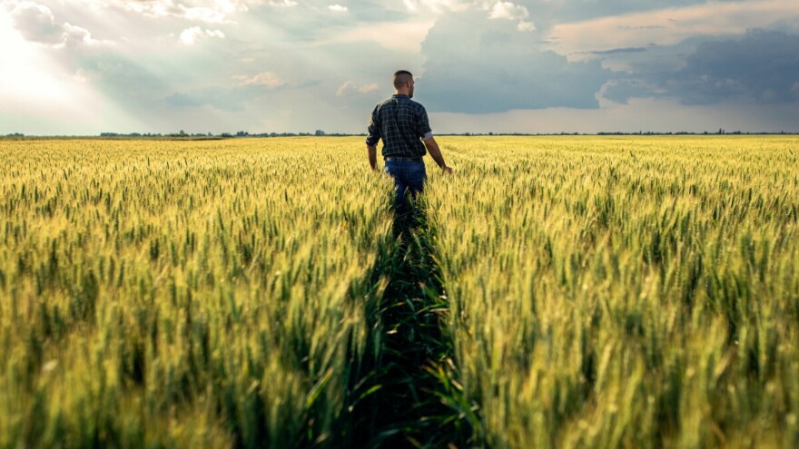 Bez njih ne možemo: Proizvode kisik kojeg udišemo i hranu koju jedemo