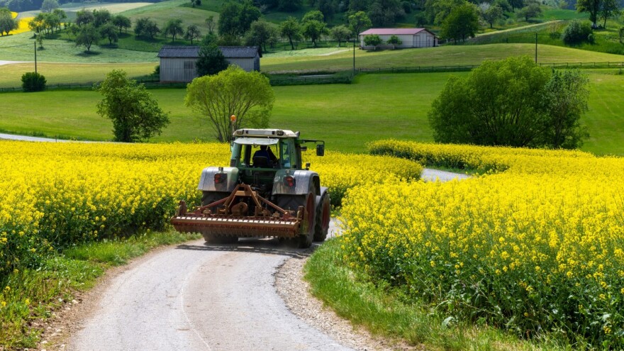 Uljana repica zatvorila redove, otvorila temu: Hoće li trebati još jedan tretman?