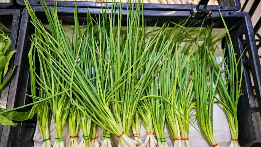 Od berbe do prodaje: Mladi luk mora da bude i atraktivan za oko kupca