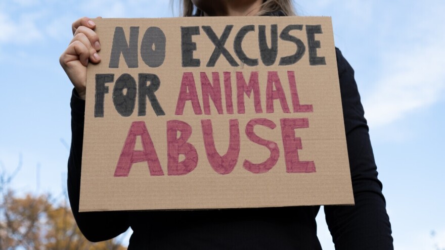 Danska pooštrava zakon o zaštiti životinja - za zlostavljanje do šest godina zatvora