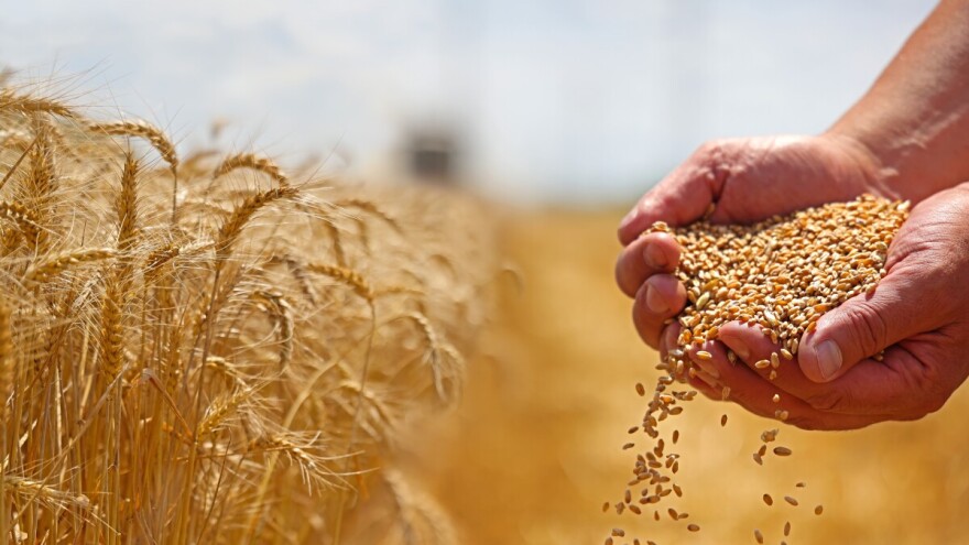 O novostima u oplemenjivanju bilja, sjemenarstvu i rasadničarstvu na kongresu u Opatiji