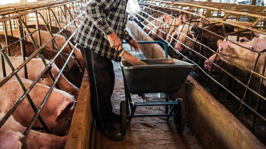 Povrat primljene potpore u slučaju otkrivenih nepravilnosti