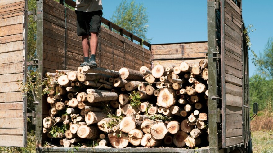 Nisu stigli ni utovariti: Uhvaćeni dok su krali drva