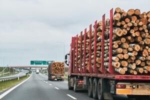 Bez krčenja šuma: Kako će se bh. izvoznici drveta prilagoditi EUDR pravilima?