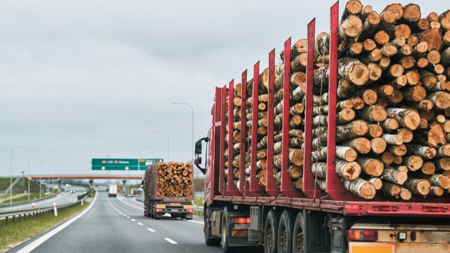 Bez krčenja šuma: Kako će se bh. izvoznici drveta prilagoditi EUDR pravilima?