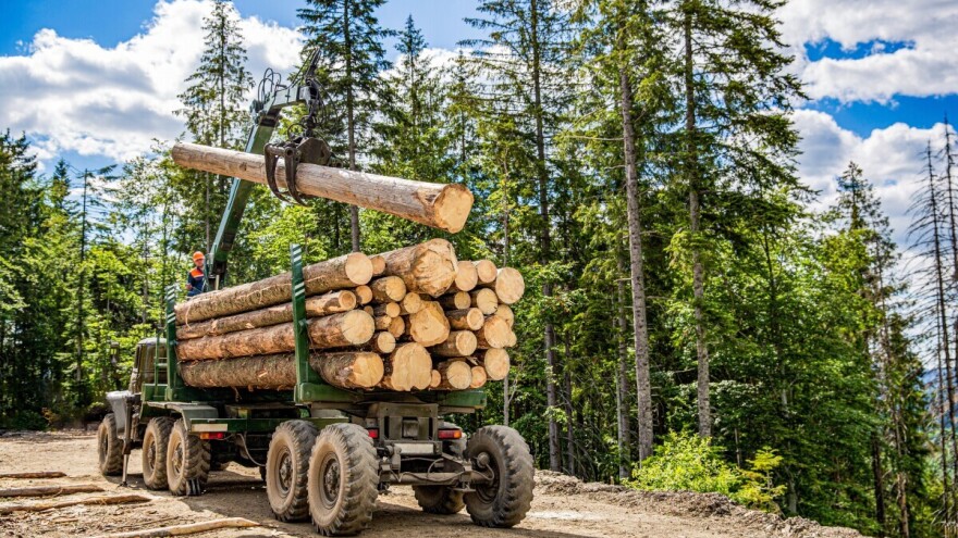 Globalno tržište trupaca doseglo 162 milijarde dolara, očekuje se daljnji rast