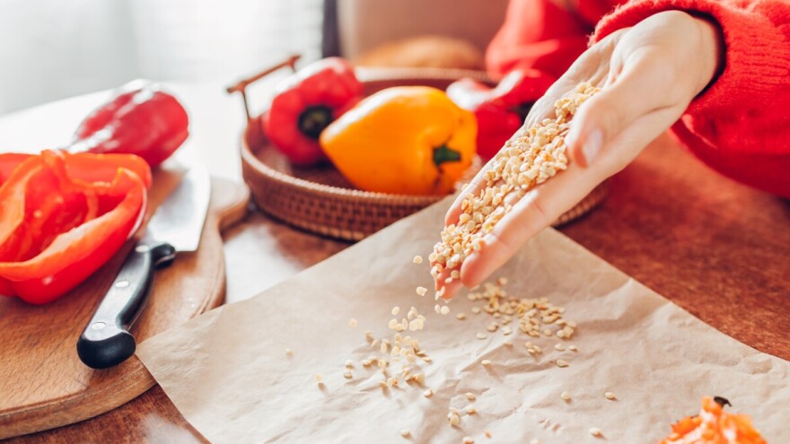 Sjeme paprike iz vlastita vrta