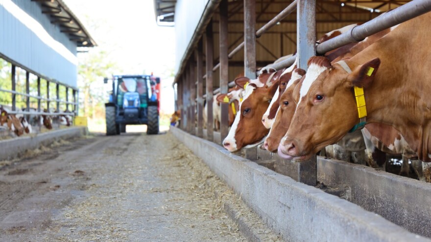 Eurostat: Nagli porast cijene mlijeka, zabilježen u 24 zemlje članice EU