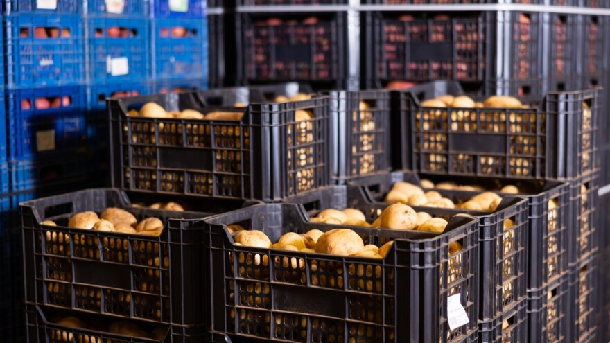 Najviše uvozimo krompir i paradajz, koja je vrednost uvezenog povrća?