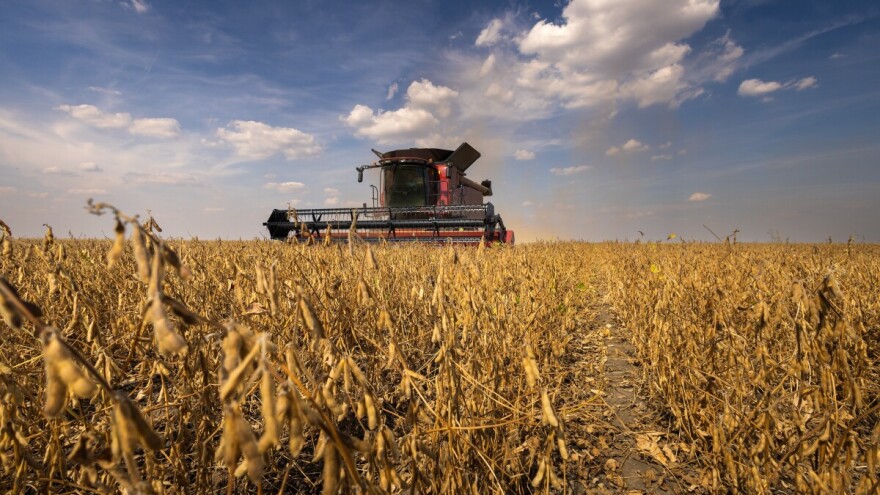 Rekordan prinos soje u Europi, uglavnom zbog rasta obradivih površina i žetve u Ukrajini