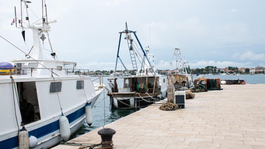 I moru treba odmor: Pokrenuta kampanja za održivo ribarstvo