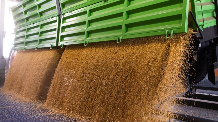 Cene kukuruza i soje nastavile rast, pšenica u padu. Kako se trgovalo ove nedelje?