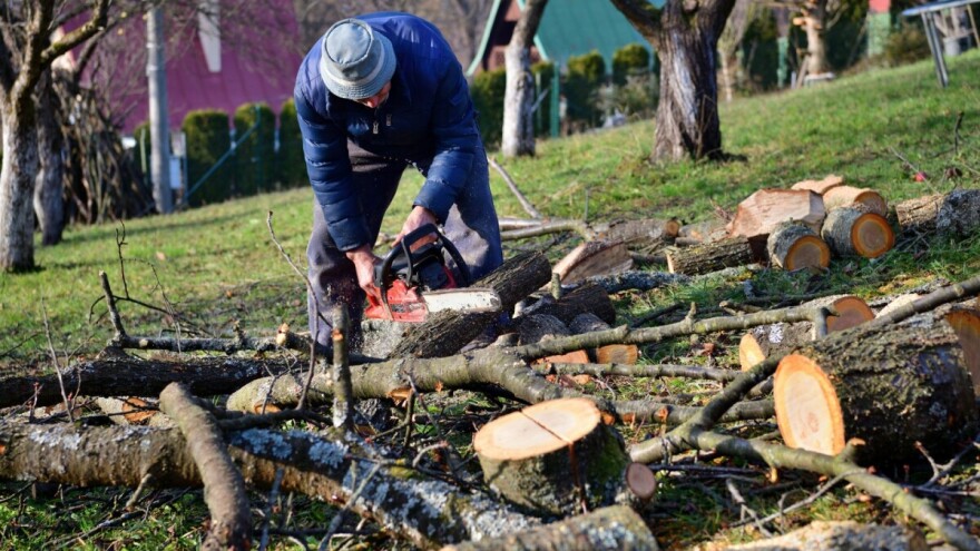 Ekonomska neodrživost krči zasade: Sve manje površina pod jabukom