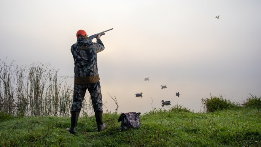 Znanost ili politika? EU ministri poljoprivrede protiv zabrane olovne sačme