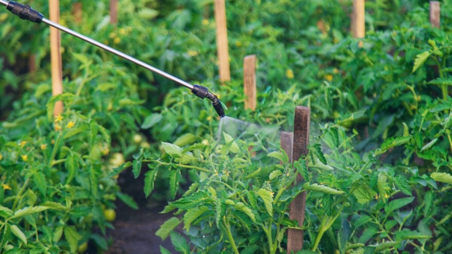 Protiv insekata i bolesti deluje 30%-tni hidrogen peroksid