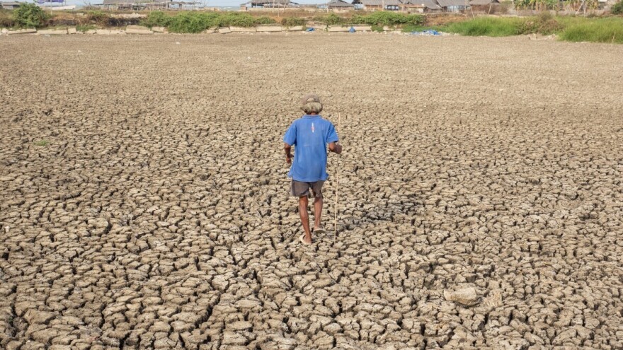 NASA potvrdila: 2024. je najtoplija dosad zabilježena godina, šta nas očekuje u 2025.?