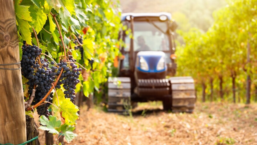 Zadnji trzaji ljeta: Dani mirni, poljoprivredni radovi u punom ritmu